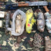 PKK'ya ait 8 sığınakta silah ve mühimmat ele geçirildi PKK'ya ait 8 sığınakta silah ve mühimmat ele geçirildi