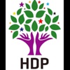 PKK'lı Kalkan: HDP koalisyona ortak olursa düzen partisi olur PKK'lı Kalkan: HDP koalisyona ortak olursa düzen partisi olur