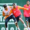 Aslan çıkış peşinde Aslan çıkış peşinde