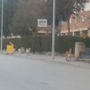 Köpekten kaçan çocuğun ayağı kırıldı Köpekten kaçan çocuğun ayağı kırıldı