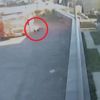 Felaket kamyonları… Sarı damperliler…