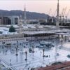 Gül konusunda benim de diyeceklerim var Gül konusunda benim de diyeceklerim var