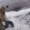 Denizaltıya uyuşturucu operasyonu Denizaltıya uyuşturucu operasyonu