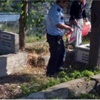 Bebek Mezarından Bakın Ne Çıktı Bebek Mezarından Bakın Ne Çıktı