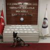 Van'da narkotik köpeği 'Bozo' ile yapılan aramada 14 kilogram uyuşturucu ele geçirildi Van'da narkotik köpeği 'Bozo' ile yapılan aramada 14 kilogram uyuşturucu ele geçirildi