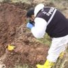 Palu Ailesi soruşturmasında yeni gelişme! Palu Ailesi soruşturmasında yeni gelişme!