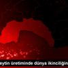 Türkiye zeytin üretiminde dünya ikinciliğini hedefliyor Türkiye zeytin üretiminde dünya ikinciliğini hedefliyor