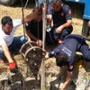 Kuyuya düşen ineği itfaiye kurtardı Kuyuya düşen ineği itfaiye kurtardı