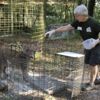 Barınaktaki kaplan anında dişlerini geçirdi. Tiger King dizisiyle ünlenen Carole Baskin şoka geçirdi Barınaktaki kaplan anında dişlerini geçirdi. Tiger King dizisiyle ünlenen Carole Baskin şoka geçirdi