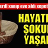 Eşi gönderdi sandı sepeti içeri alınca şok oldu!