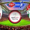 Aslan, Timsah'ı bekliyor Aslan, Timsah'ı bekliyor