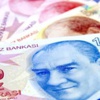 TÜİK yetkilisi: Asgari geçim tutarı 1424 lira TÜİK yetkilisi: Asgari geçim tutarı 1424 lira