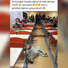 Derste uyuya kaldı Derste uyuya kaldı