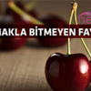 İstanbul seçmeni rekor kırdı İstanbul seçmeni rekor kırdı