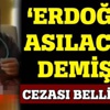 Gökçe Fırat Çulhaoğlu, Erdoğan'a hakaretten tutuklandı