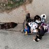 Göçmenlerin at arabasıyla alışveriş yolculuğu Göçmenlerin at arabasıyla alışveriş yolculuğu