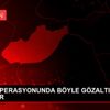 HİJYEN OPERASYONUNDA BÖYLE GÖZALTINA ALINDILAR HİJYEN OPERASYONUNDA BÖYLE GÖZALTINA ALINDILAR