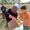 Şuhut ta kışlık patates hasadı başladı Şuhut ta kışlık patates hasadı başladı