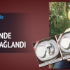 100 yıllık müjde 100 yıllık müjde