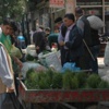 Peynir Otu 10 Liradan Piyasada Peynir Otu 10 Liradan Piyasada