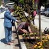 Yığılca Modern Hale Geliyor