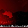 Mevsimlik tarım işçileri fındık hasadı için Ordu da Mevsimlik tarım işçileri fındık hasadı için Ordu da