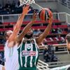 Darüşşafaka Tekfen, Panathinaikos'a direnemedi Darüşşafaka Tekfen, Panathinaikos'a direnemedi