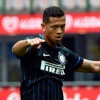 Guarin favori Guarin favori