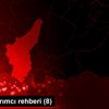 Yıllık yatırımcı rehberi (8) Yıllık yatırımcı rehberi (8)