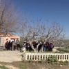TİKA dan Tunus a 2 bin 700 zeytin fidesi TİKA dan Tunus a 2 bin 700 zeytin fidesi