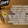 Fikirci Bey yazdı: İSTİSMARA MÜSAİTLER VAR Fikirci Bey yazdı: İSTİSMARA MÜSAİTLER VAR