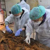 400 yıl sonra kalıntıları bulundu 400 yıl sonra kalıntıları bulundu
