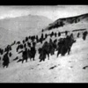 Kuran'ın 40. Ayetlerindeki Hikmet Kuran'ın 40. Ayetlerindeki Hikmet