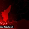 Altay ın kozu Koşukavak Altay ın kozu Koşukavak