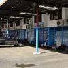 Palamut bolluğu yerini kıtlığa bıraktı Palamut bolluğu yerini kıtlığa bıraktı