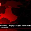 Son dakika haberi... Kuyuya düşen dana makara sistemiyle ... Son dakika haberi... Kuyuya düşen dana makara sistemiyle ...