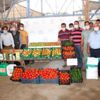 Tarlada 40 kuruşa düşen domatesin kilosu markette ... Tarlada 40 kuruşa düşen domatesin kilosu markette ...
