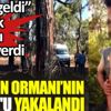 ﻿Antalya'da ''Emir geldi'' diyerek ormanı ateşe verdi