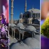 Türkiye'nin tanıtımında bloggerlardan yararlanılacak Türkiye'nin tanıtımında bloggerlardan yararlanılacak