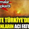﻿Sydney Teknoloji Üniversitesi Türkiye'deki yangınların acı faturasını ortaya çıkardı