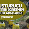 Uyuşturucu yetiştiren öğretmen suçüstü yakalandı Uyuşturucu yetiştiren öğretmen suçüstü yakalandı