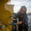 Son dakika! Nargile tütünü kaçakçılığına İstanbul merkezli 8 ilde operasyon Son dakika! Nargile tütünü kaçakçılığına İstanbul merkezli 8 ilde operasyon