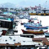 Karadeniz’de balıkçılık bitiyor Karadeniz’de balıkçılık bitiyor