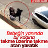 Cumhurbaşkanı Erdoğan, Baykal'la görüştü