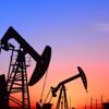 Suudi Arabistan petrolden sonrasını planlıyor Suudi Arabistan petrolden sonrasını planlıyor