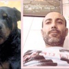 Rottweiler ölen sahibini parçaladı