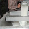 Sokak sütündeki büyük tehlike Sokak sütündeki büyük tehlike