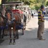 Adalar Belediyesi'nden açıklama... 'İşkence'de top İBB'de Adalar Belediyesi'nden açıklama... 'İşkence'de top İBB'de
