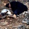 Dağ keçisinin derisini yüzerken yakalandılar Dağ keçisinin derisini yüzerken yakalandılar