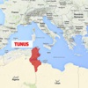 Tunus'ta müzeye silahlı saldırı: 19 ölü Tunus'ta müzeye silahlı saldırı: 19 ölü